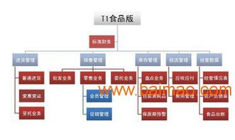 中山管家婆食品門店零售系統(tǒng)管理軟件 智能化管理解決方案，提升門店運營效率